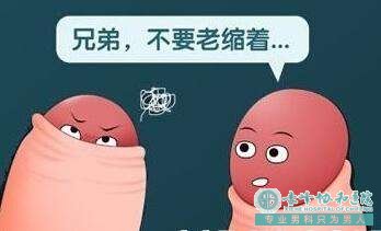 金华乌敦套海中心卫生院男子包皮是什么样的?